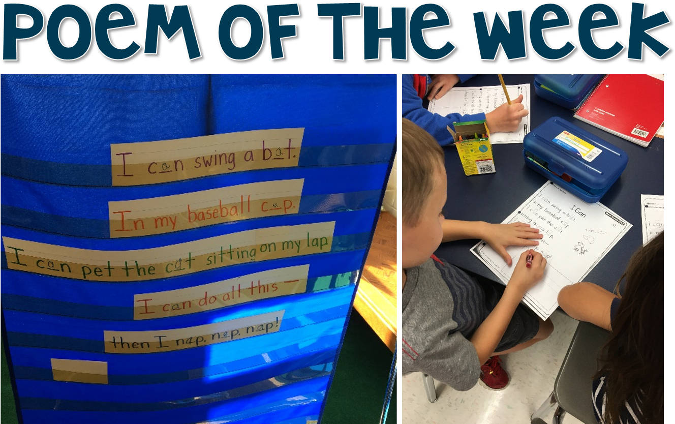 Since, We Were At The Start Of School When We Did Pete - Cheeky Monkey Shower Curtain (1393x842), Png Download