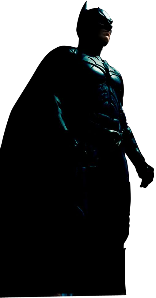 Tdkpicture134ei5 - Batman Standing Png (509x970), Png Download