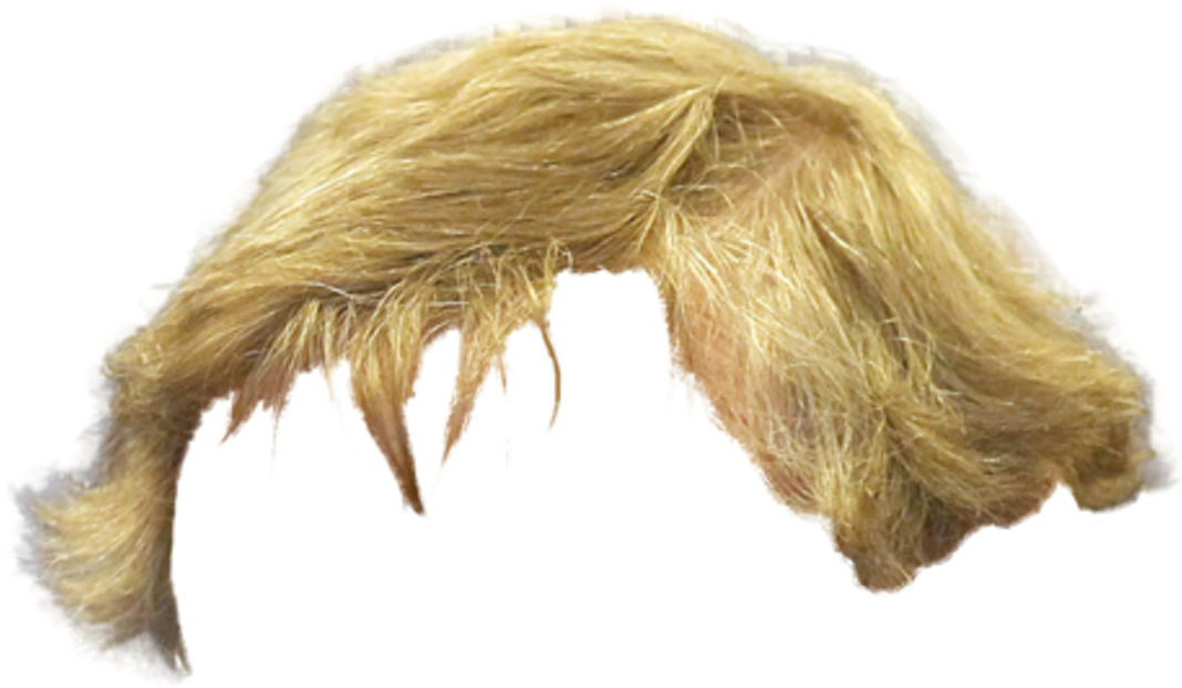 Blonde Hair Png Man (1200x675), Png Download