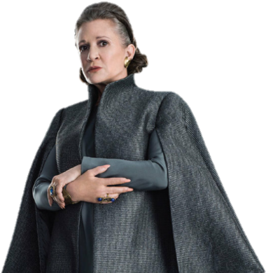 Png Princesa Leia - Leia The Last Jedi Png (865x454), Png Download