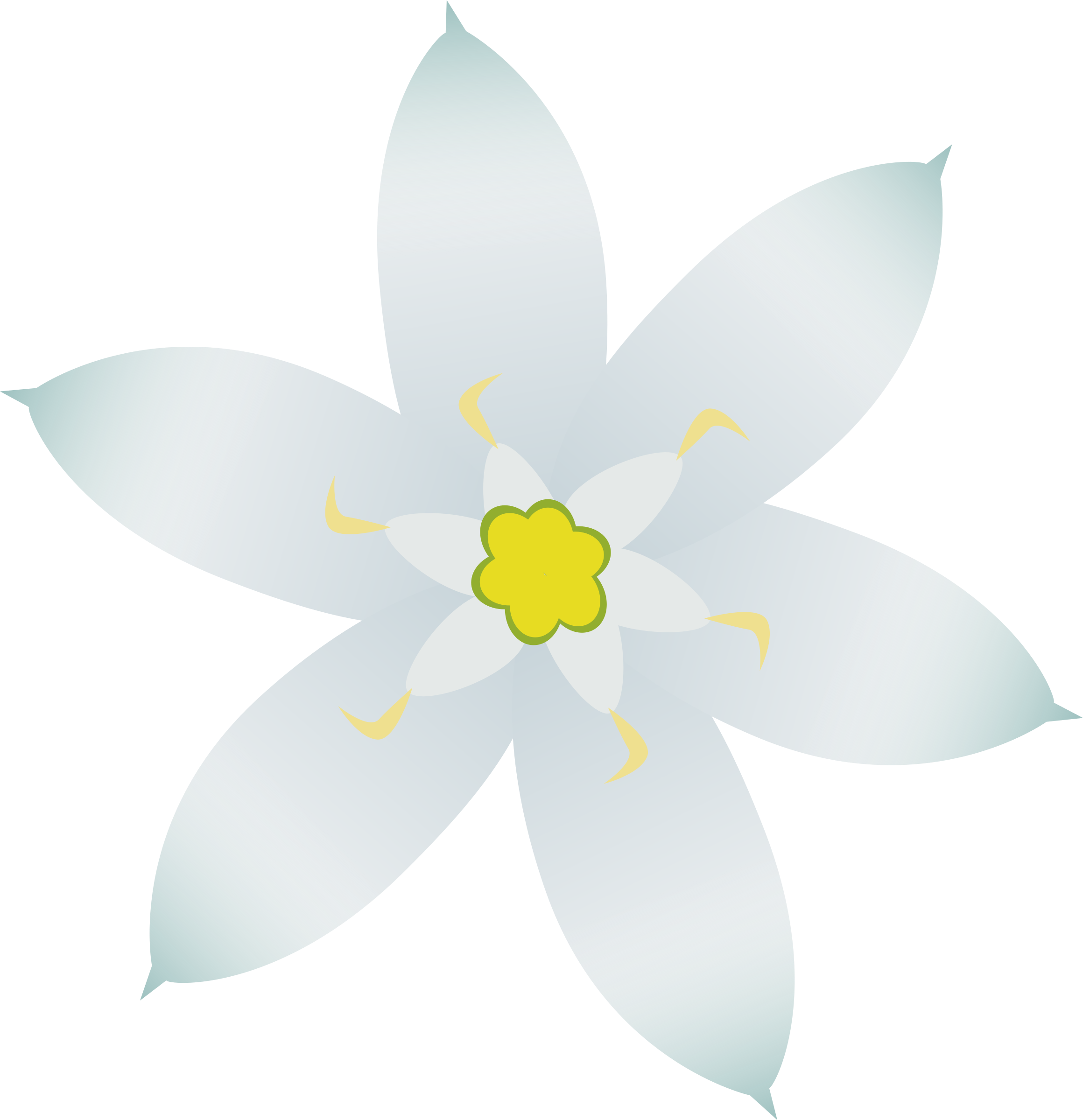 Star Of Bethlehem Picture Royalty Free - Lily Family (2320x2400), Png Download