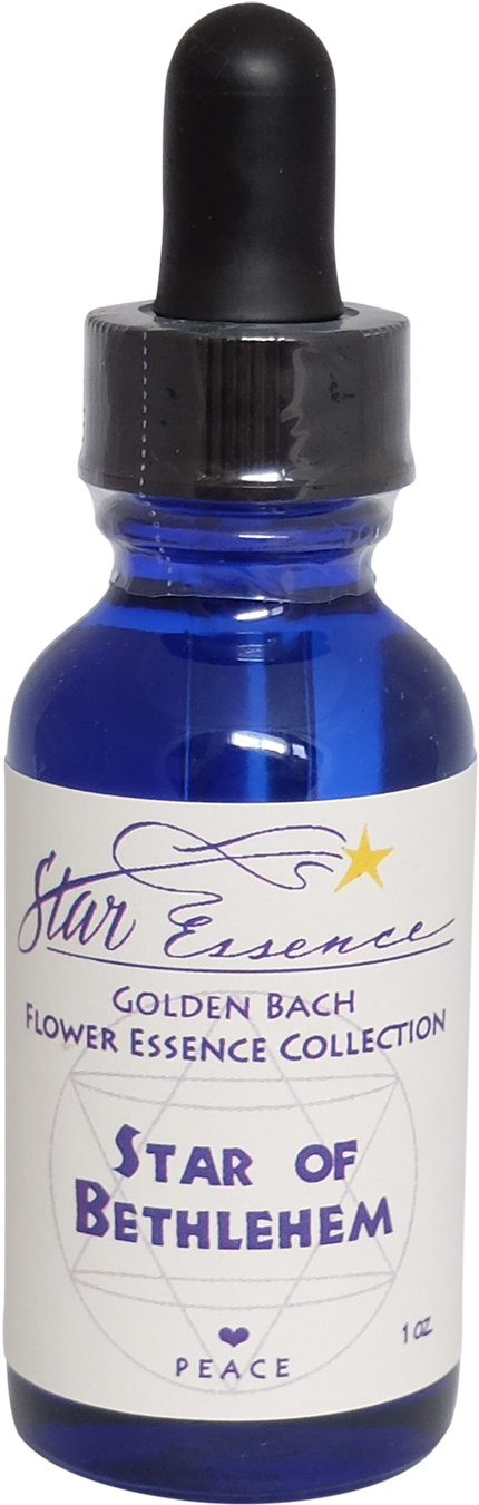 Hedd Wyn Tamanu Oil (1500x1500), Png Download