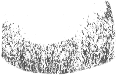 Dk Vine - Beard Scruff Png (472x613), Png Download