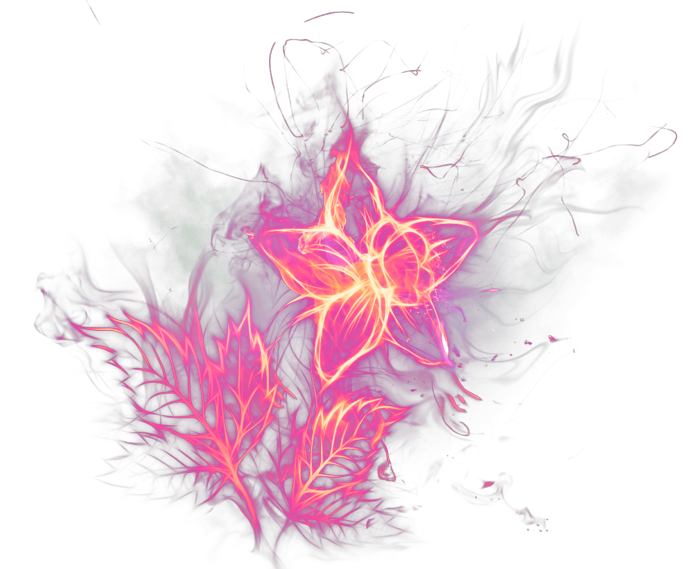Flower Flor Fire Fuego Flames Llamas Pink Rosa Smoke - Fire (699x569), Png Download