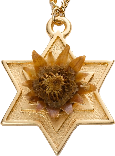 Rose Of Bethlehem Gold-filled Star - Rose Of Bethlehem - Gold Star Of David (681x681), Png Download