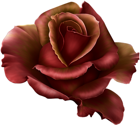 Garden Flames - Png Dark Red Rose (500x449), Png Download
