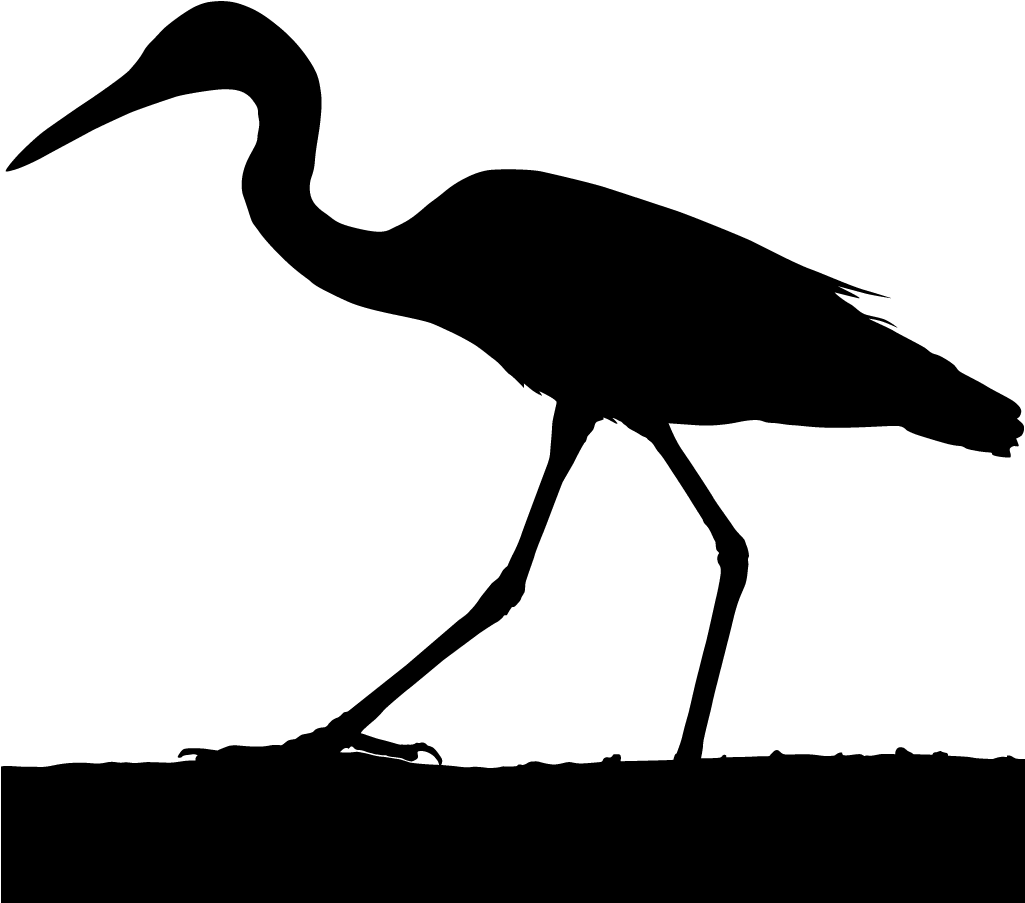 Crane Clipart Blue Crane - Grey Crane Bird Silhouette (1024x1024), Png Download