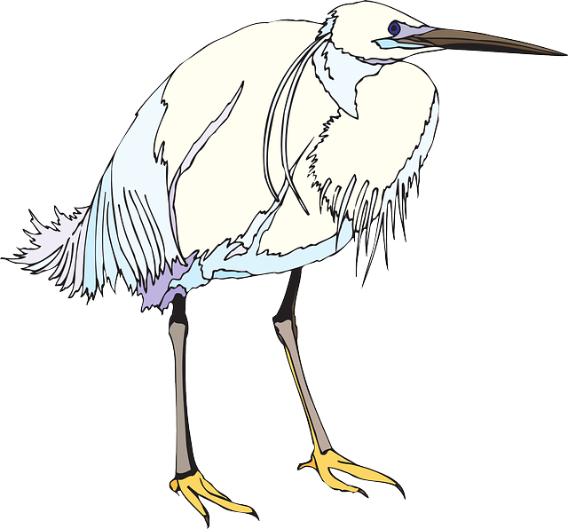 Blue, White, Bird, Wings, Standing, Heron, Feathers - Heron (640x596), Png Download