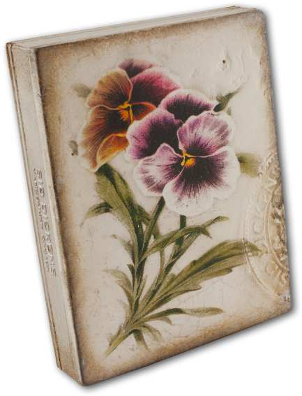 Love In Idleness - Pansy (460x600), Png Download
