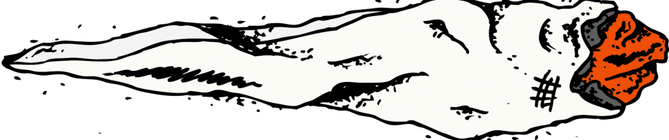 Rose & Vines Even If Ya Not Hot We So Cool - Rose (950x200), Png Download