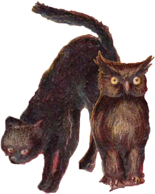 Cat And Owl Clear - Cat (344x400), Png Download