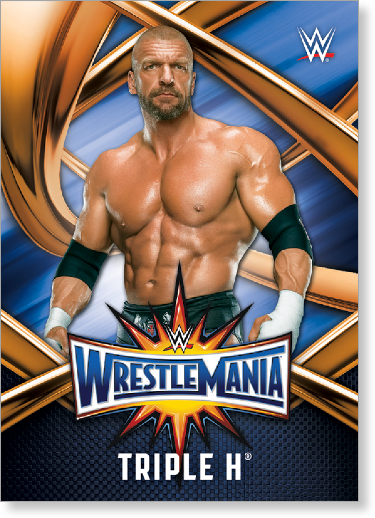 Triple H 2017 Wwe Road To Wrestlemania Wrestlemania - Triple H 2017 Wwe (2000x2000), Png Download