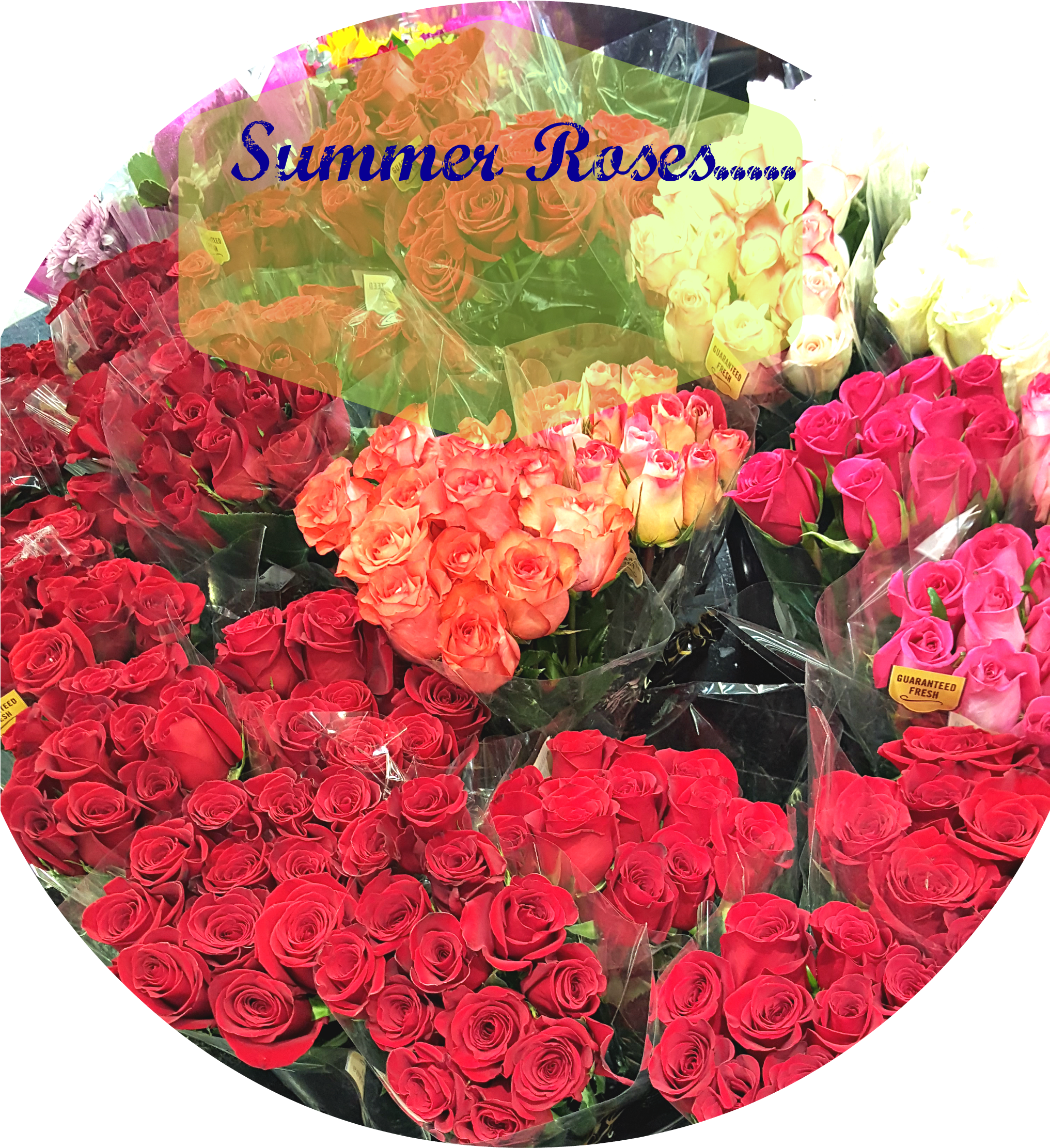 It's June, Summer Is Here, And It's Getting Hot I Love (2032x2629), Png Download