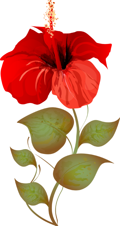 Grab This Free Summer Flower Clip Art - Hibiscus Plant Clip Art (398x750), Png Download
