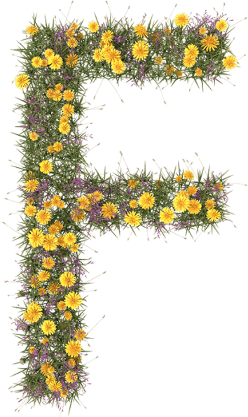 Summer Flower Font - Caterpillar (595x595), Png Download
