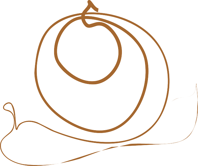 Brown, Circles, Lines, Snail, Shell, Abstract, Slow - Abstract Brown Png (640x538), Png Download