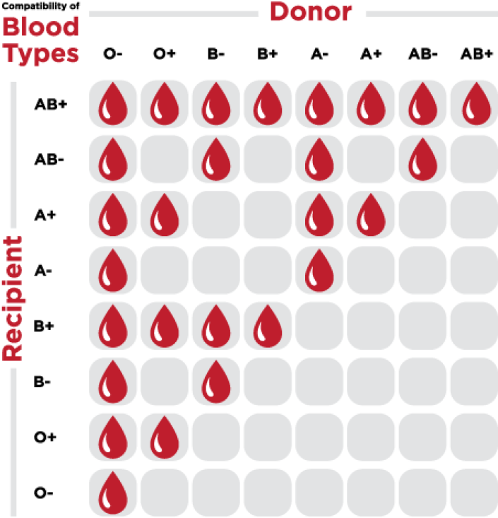 Thumbnail - Blood Types (500x500), Png Download