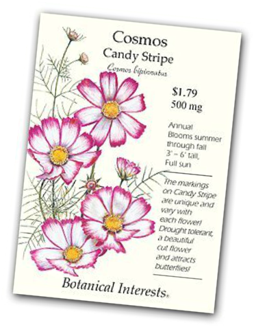 Candystripe Cosmos Seeds (cosmos Bipinnatus) (371x476), Png Download