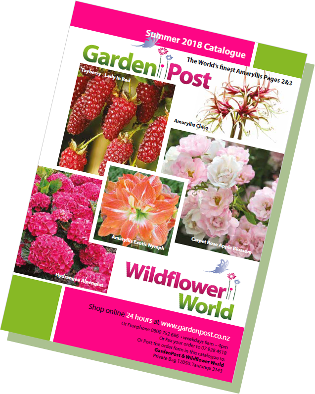 Download Gardenpost Summer Catalogue Quiksilver Molokai Comp Word Eu 46 Flip Flop Urban Png Image With No Background Pngkey Com Download Gardenpost Summer Catalogue Quiksilver Molokai Comp Word Eu 46 Flip Flop Urban Png Image With No Background Pngkey Com