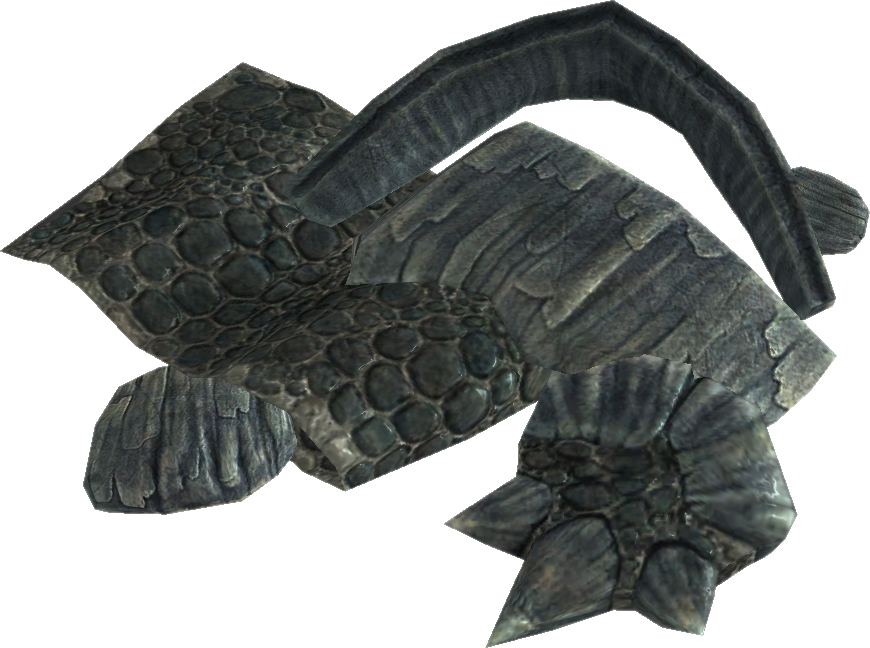 Dragon Heartscales - Alligator (870x648), Png Download