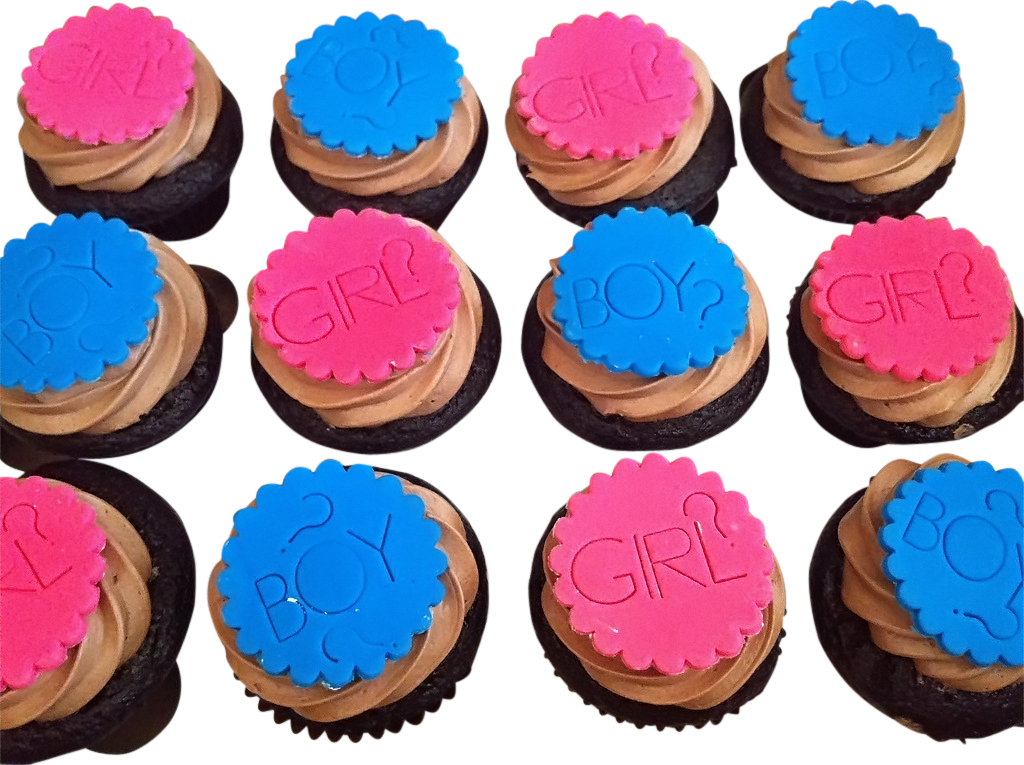 Boy Girl Cupcakes - Gender Reveal Party Ideas (1024x765), Png Download