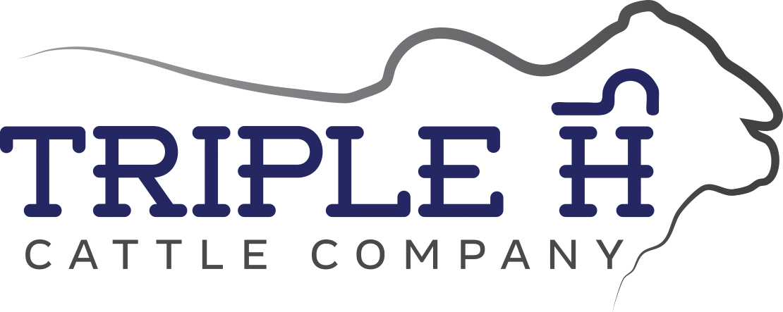 Triple H Cattle Company - Ginger Ale (1110x443), Png Download