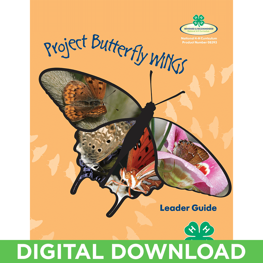 Butterfly Wings Curriculum Facilitator Guide Digital - Lycaenid (1028x1028), Png Download