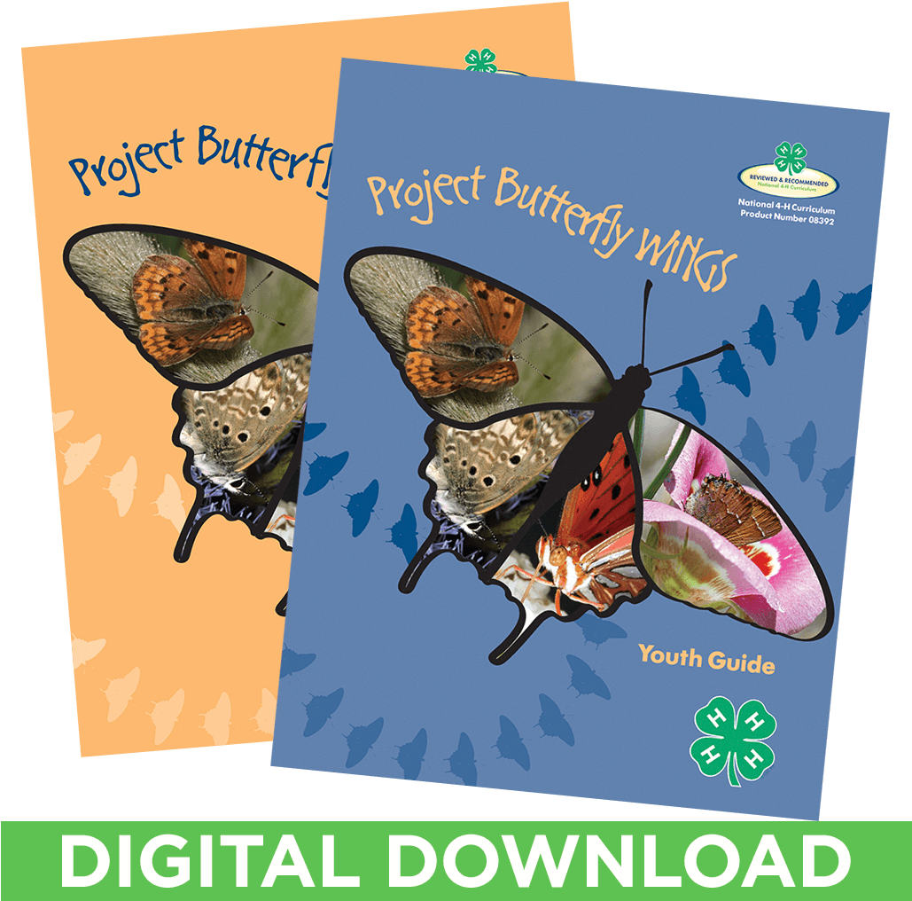 Butterfly Wings Curriculum Set Of 2 Digital Download - Butterfly (1028x1028), Png Download