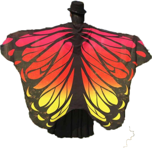 Sunset Butterfly Wings - Cheap Scarves Gradient Color Chiffon Erfly Wing Scarf (500x485), Png Download