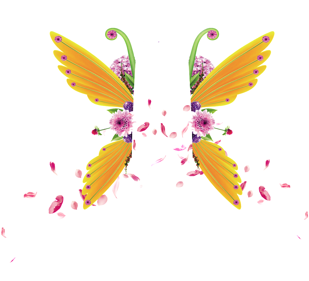 Butterfly (1024x1024), Png Download