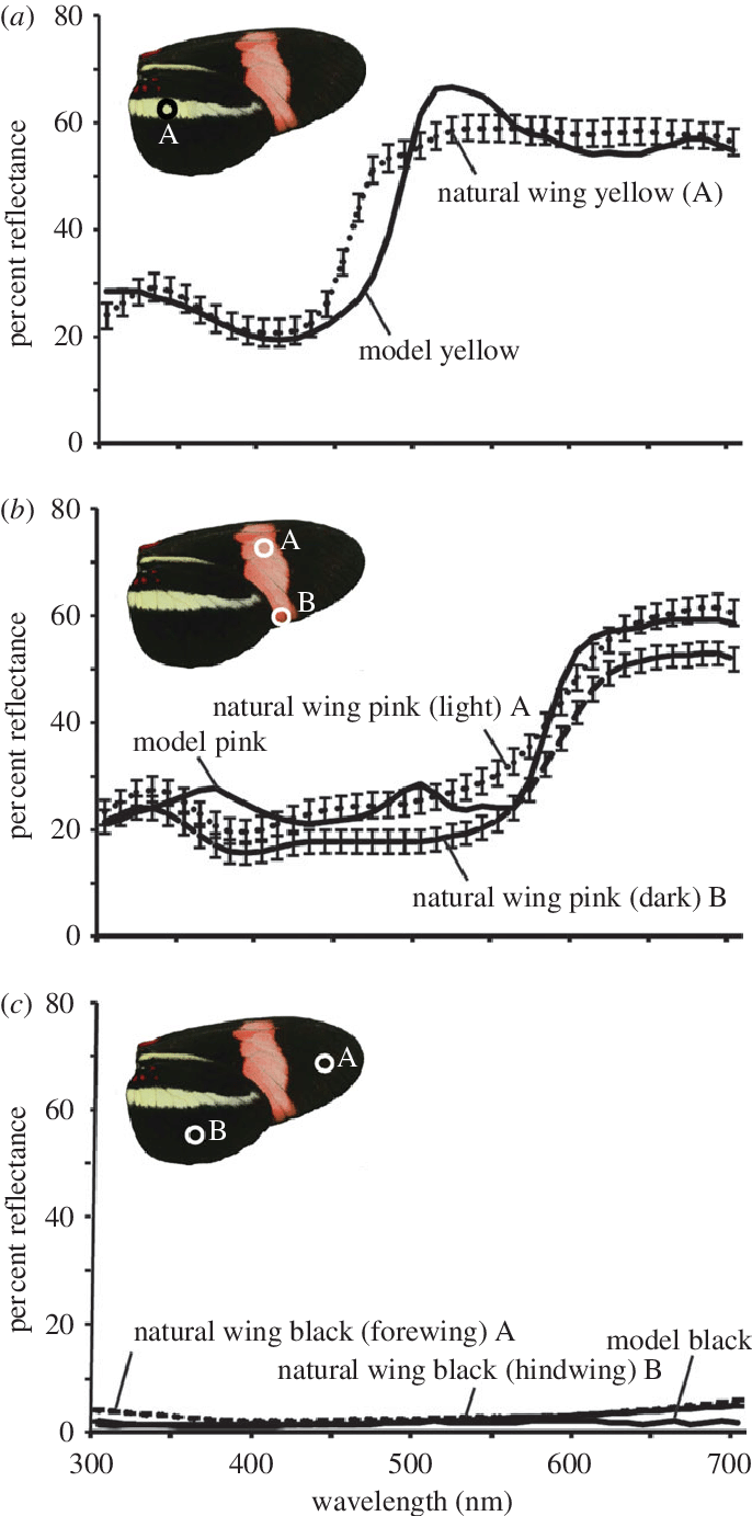 Reflectance Spectra Of Natural And Artificial Butterfly - Tongue (686x1383), Png Download