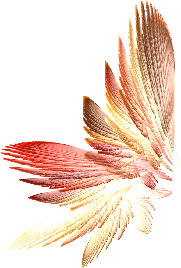 Tinkerbell Wings Png Download - Png Fairy Wings Transparent (685x1023), Png Download
