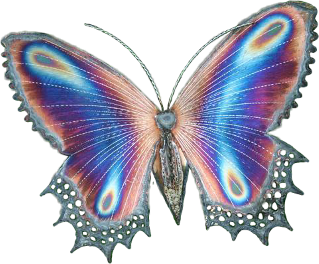 Transparent Butterfly Butterflies Butterflywings Magic - Butterflies And Hummingbirds: Coloring Book (481x398), Png Download