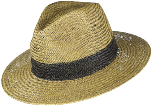 Peter Grimm- Cayenne 100% Chinese Panama Straw Resort - Fedora (510x510), Png Download