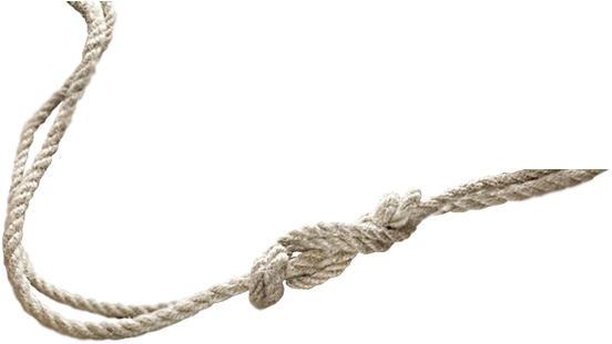 Macneill's Pei Tuna And Deep-sea Fishing Charters (568x310), Png Download