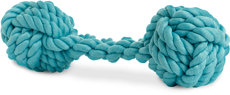 Powder Blue Bone Rope - Dog (1000x1000), Png Download