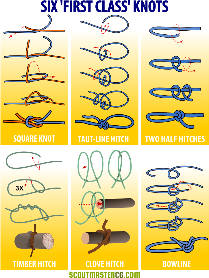 Six First Class Knots Infographic - Six First Class Knots (765x990), Png Download