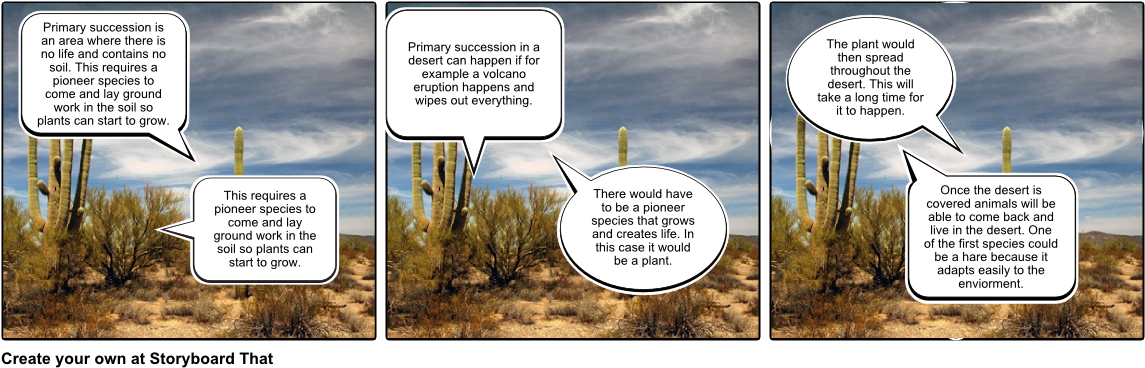 Primary Succession In Desert - Primary Succession (1164x385), Png Download