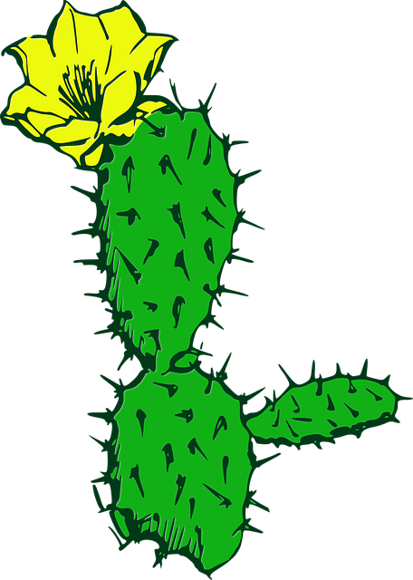 Flora De Desierto Png (456x640), Png Download