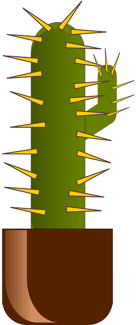 Cactus, Cartoon, Plant, Desert, Spikes, Potted, Pot - Cactus Spikes Cartoon (320x640), Png Download