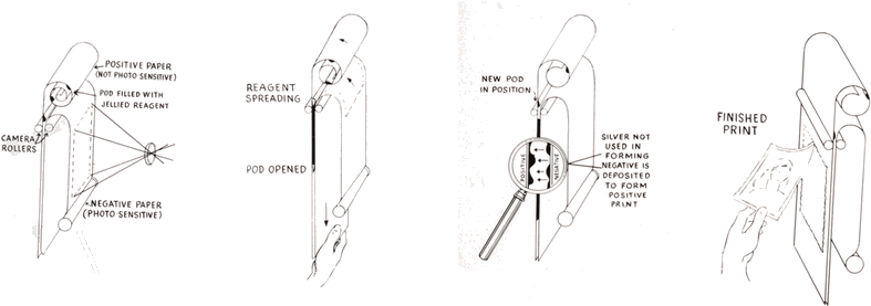 In 1944, Polaroid - Polaroid Corporation (889x278), Png Download