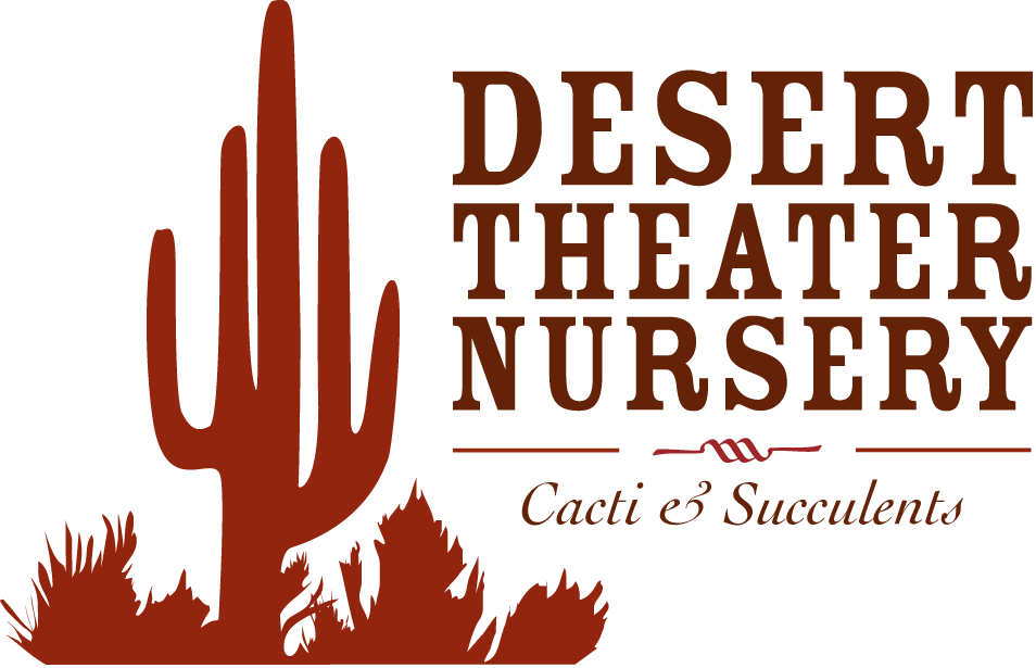Desert Theater- Cactus Nursery In San Diego - Everything Happens For A Reason (954x615), Png Download