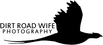 Cropped Drw Logo Black Transparent Square 1 - Seabird (347x347), Png Download