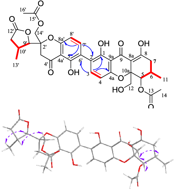 H-1 H Cosy , Key Hmbc (blue Arrow - Diagram (594x648), Png Download