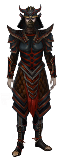 Male Samurai Costume - Assassin's Creed Black Flag Buccaneer (258x535), Png Download