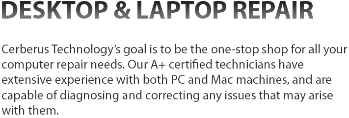 Computer Service - Cerberus Technology Solutions Llc (711x241), Png Download