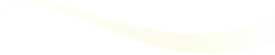 David Sun Music - Shirt (899x191), Png Download