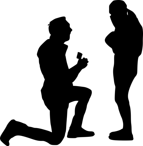 Free Png Proposal Silhouette Png Images Transparent - Portable Network Graphics (480x490), Png Download