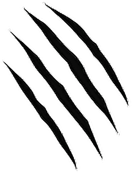 Report Abuse - Rasguño Png (456x600), Png Download