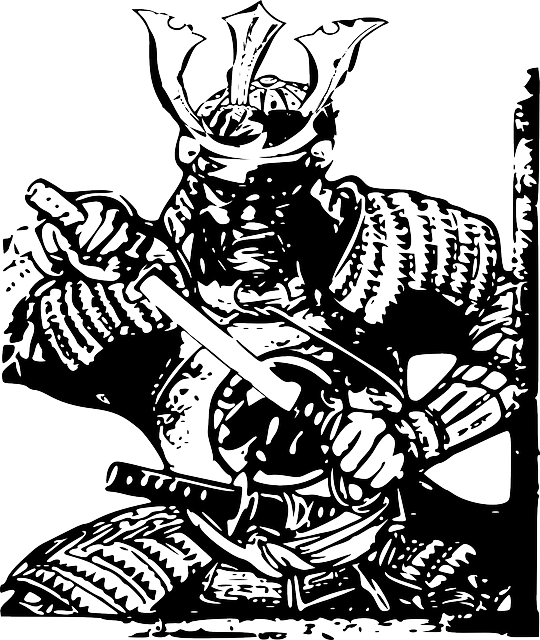 Samurai-41200 - Clip Art Samurai (540x640), Png Download